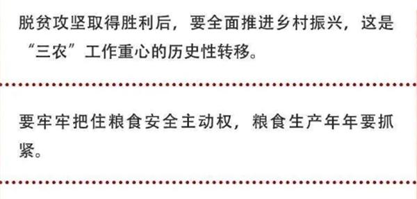 2020年中央農(nóng)村工作會議精神速覽！(圖2)