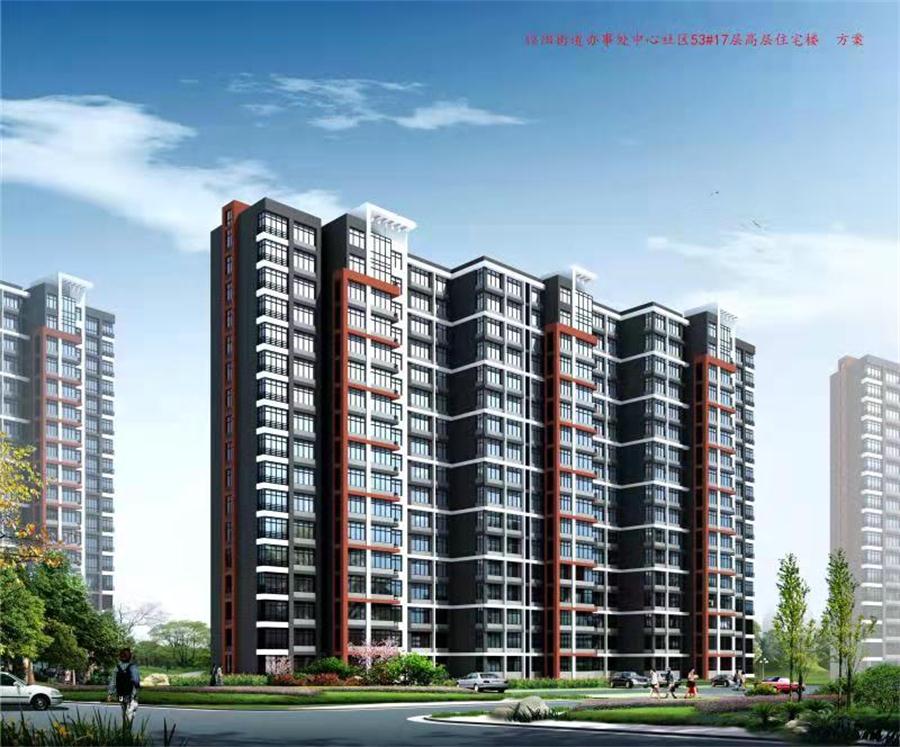 勁性復(fù)合樁:設(shè)計(jì)、施工、驗(yàn)收、造價(jià)交流會(huì)成功舉辦！(圖4)