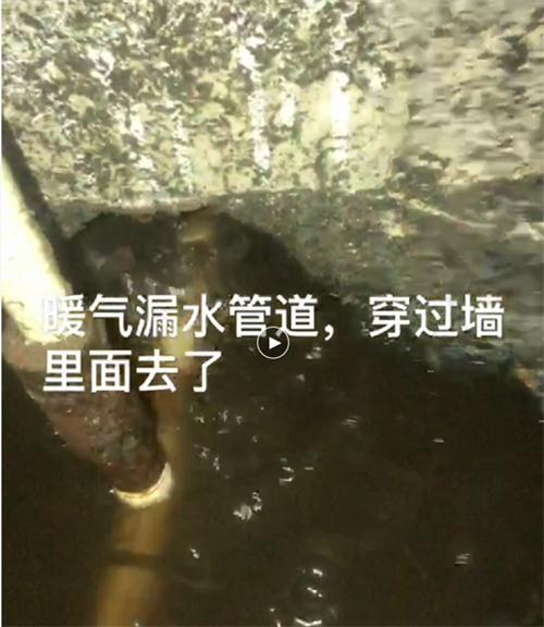 精準(zhǔn)檢測漏水、滲水：客廳、廚房、衛(wèi)生間。。。(圖4)