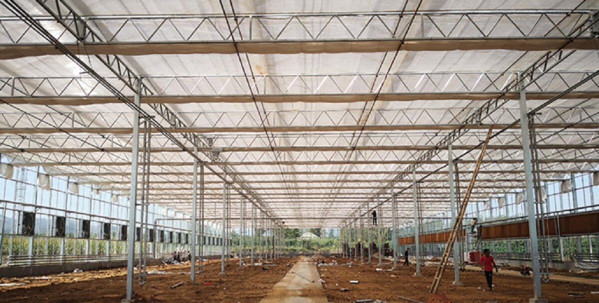 信橋鋼構：打卡蒙陰農業(yè)溫室大棚、青州黑牛養(yǎng)殖基地！(圖3)