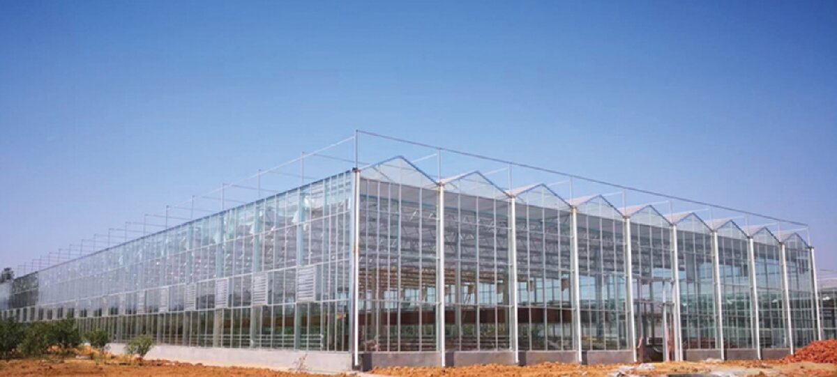 信橋鋼構：打卡蒙陰農業(yè)溫室大棚、青州黑牛養(yǎng)殖基地！(圖2)